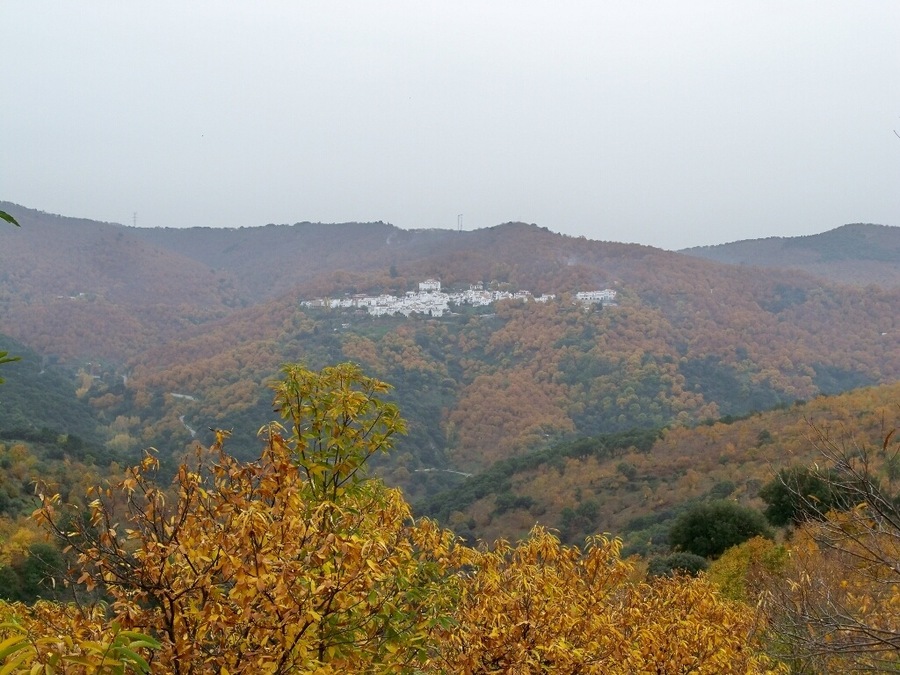Pujerra, desde el sendero que va de Cartajima a Júzcar (PR-A 224), Serranía de Ronda, Málaga, España. Paisajes de encinas y castaños.