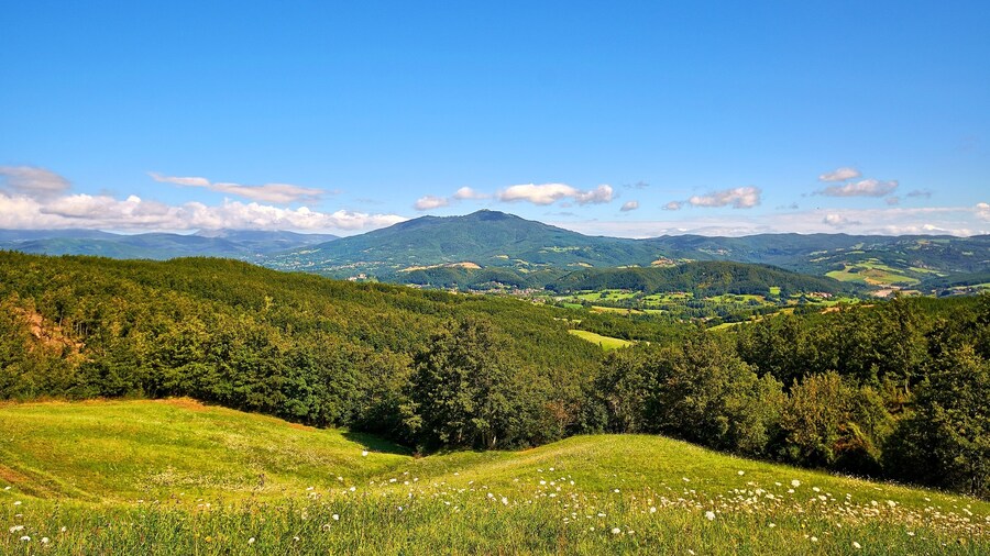 Photo "Vista verso il Monte Pelpi" by Terensky (Creative Commons Attribution 3.0) / Cropped from original