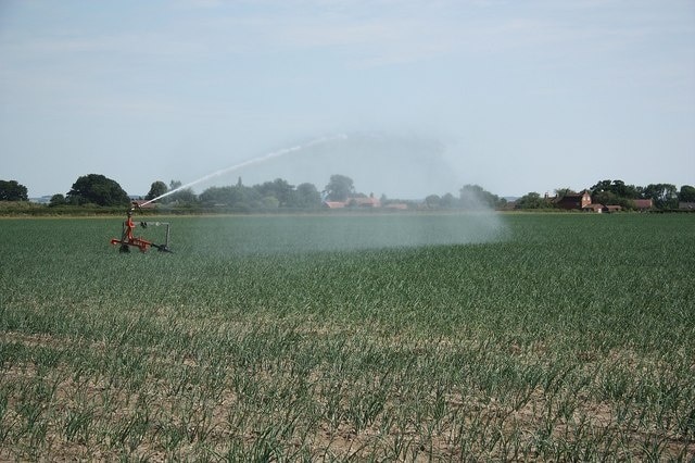 Foto “Stapleford” tomada por Richard Croft (CC BY-SA); recorte de la original