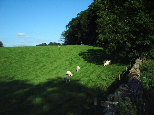 Foto "Newbiggin" por Alexander P Kapp (CC BY-SA) / Recortada de la original