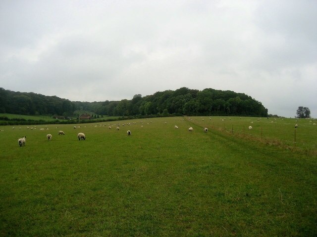 Photo "Ellesborough" by Chris Heaton (CC BY-SA) / Cropped from original