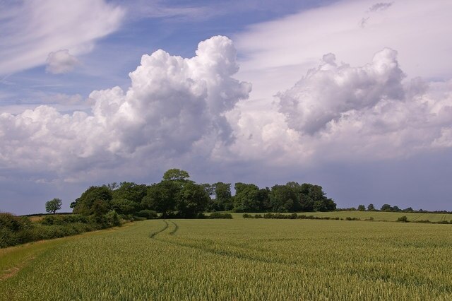 Field east of Croydon Road Looking towards Beech Farm. Note the developing storm clouds.