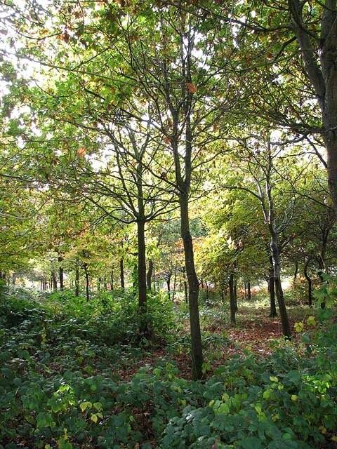 Foto „Scottow“ von Evelyn Simak (CC BY-SA)/zugeschnittenes Original