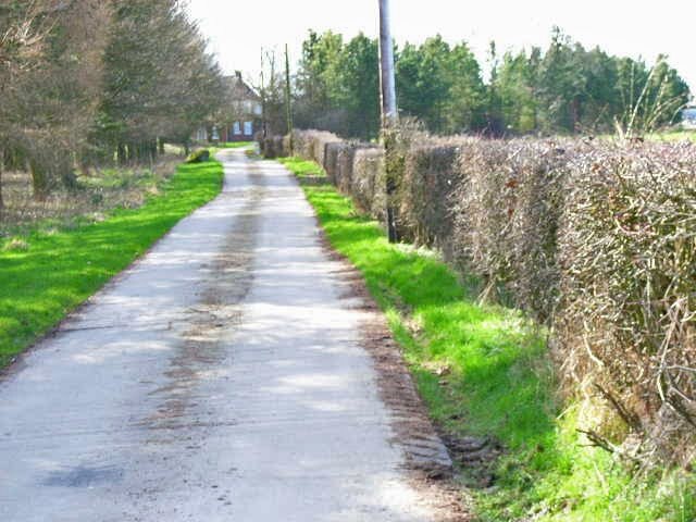 Billede "South Cowton" af Oliver Dixon (CC BY-SA) / beskåret fra det originale billede