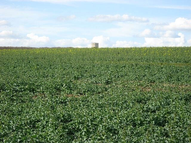 Foto „West Wickham“ von Colin Bell (CC BY-SA)/zugeschnittenes Original