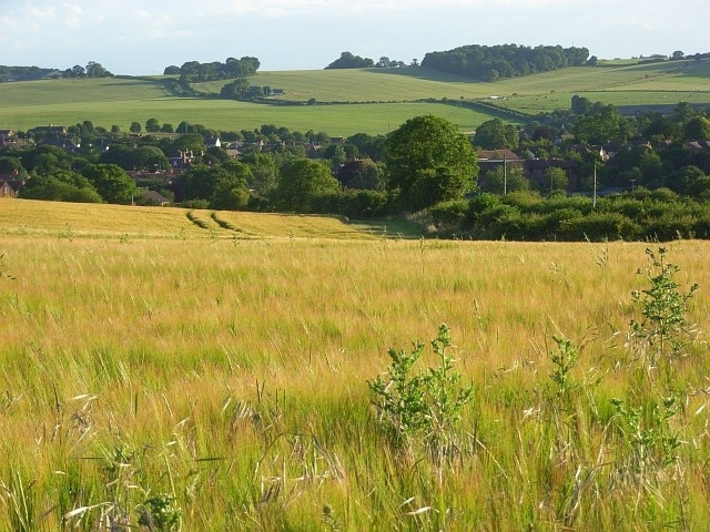 Barley, Compton The rather large village hides quite well in the top of the Pang valley. The large copse on the opposite hillside is identifiable as Ash Close.