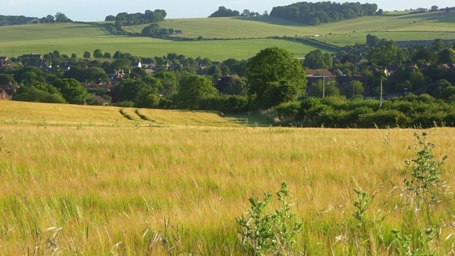 Photo "Barley, Compton The rather large village hides quite well in the top of the Pang valley. The large copse on the opposite hillside is identifiable as Ash Close." by Andrew Smith (Creative Commons Attribution-Share Alike 2.0) / Cropped from original