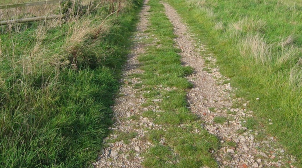 Foto “Atwick” tomada por Stephen Horncastle (CC BY-SA); recorte de la original