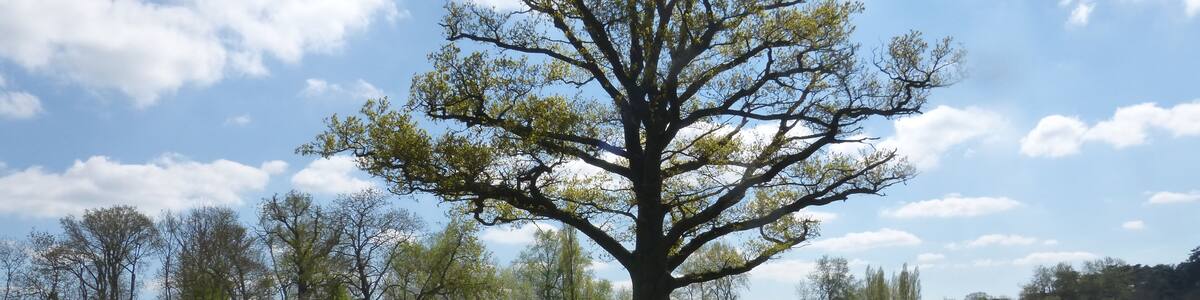 Photo "Another Beautiful Spring Day" by gailhampshire (Creative Commons Attribution 2.0) / Cropped from original