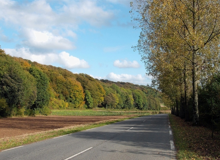 Route d'Ecottes à Licques