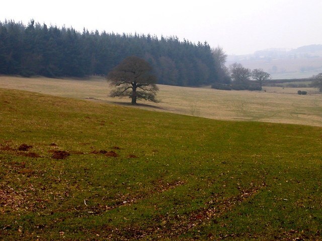 "Newnham"-foto av Ian Rob (CC BY-SA) / Urklipp från original