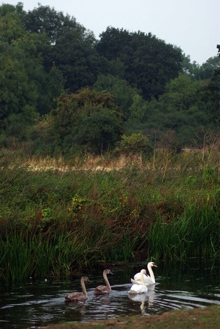 Kuva ”South Ockendon” käyttäjältä Glyn Baker (CC BY-SA) / rajattu alkuperäisestä kuvasta