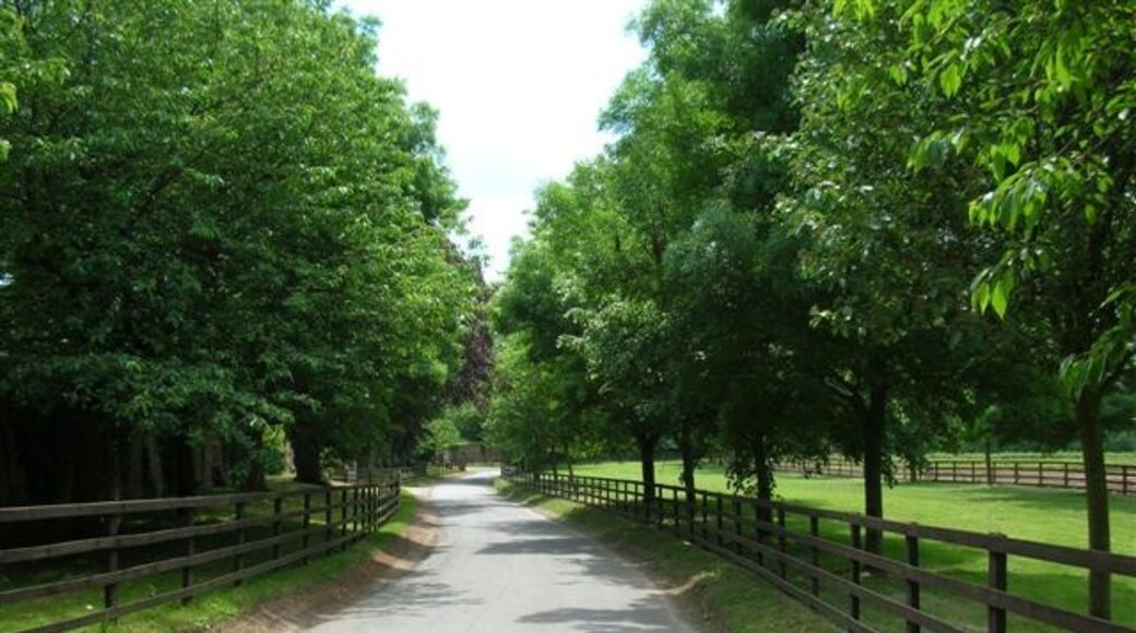 Photo "Thorpe Underwoods" by DS Pugh (CC BY-SA) / Cropped from original