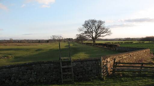 Photo "Langthorne" by Gordon Hatton (CC BY-SA) / Cropped from original