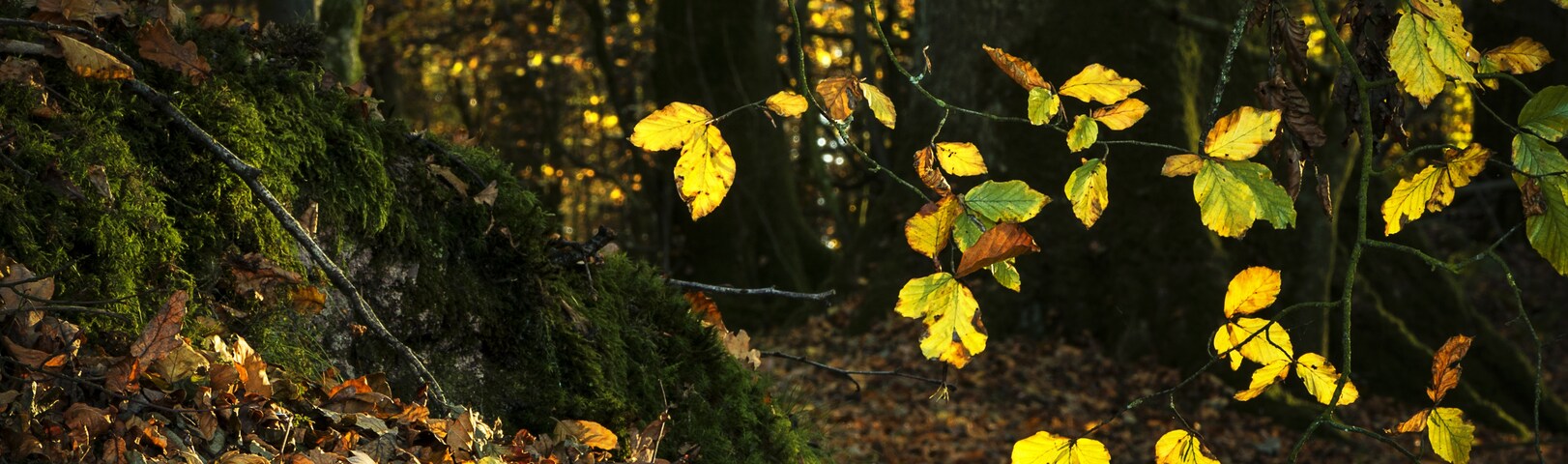 ล็อคเกอร์บี, สก็อตแลนด์, สหราชอาณาจักร