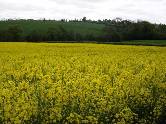 "Weedon Bec"-foto av Graham Horn (CC BY-SA) / Urklipp från original