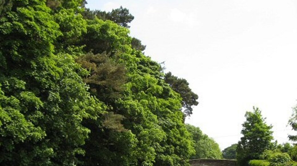 Foto „Sutton Upon Tern“ von Alison Rawson (CC BY-SA)/zugeschnittenes Original