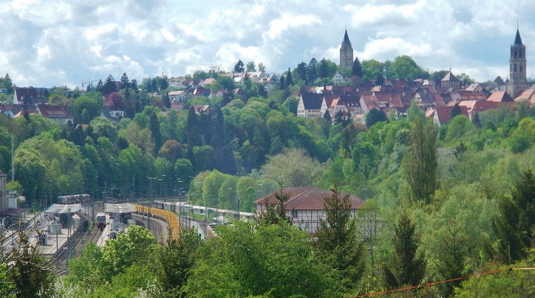 Foto "Königsfeld im Schwarzwald" di qwesy qwesy (CC BY) / Ritaglio dell’originale