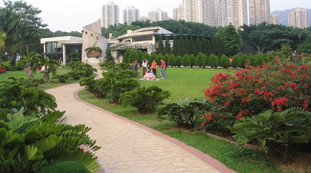 Photo "Tuen Mun Park" by Baycrest (CC BY-SA) / Cropped from original