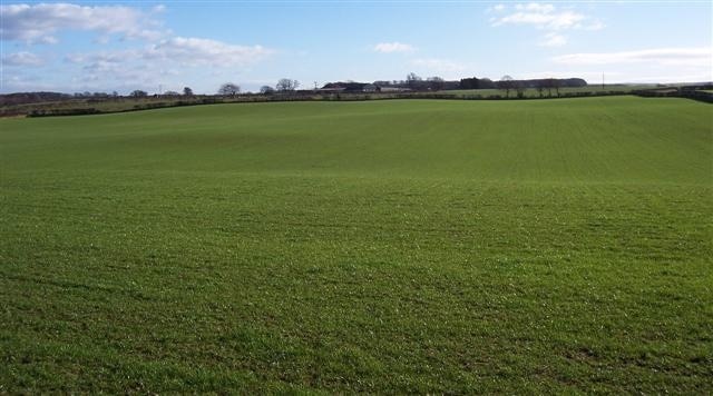 Foto „Woodside“ von John Holmes (CC BY-SA)/zugeschnittenes Original