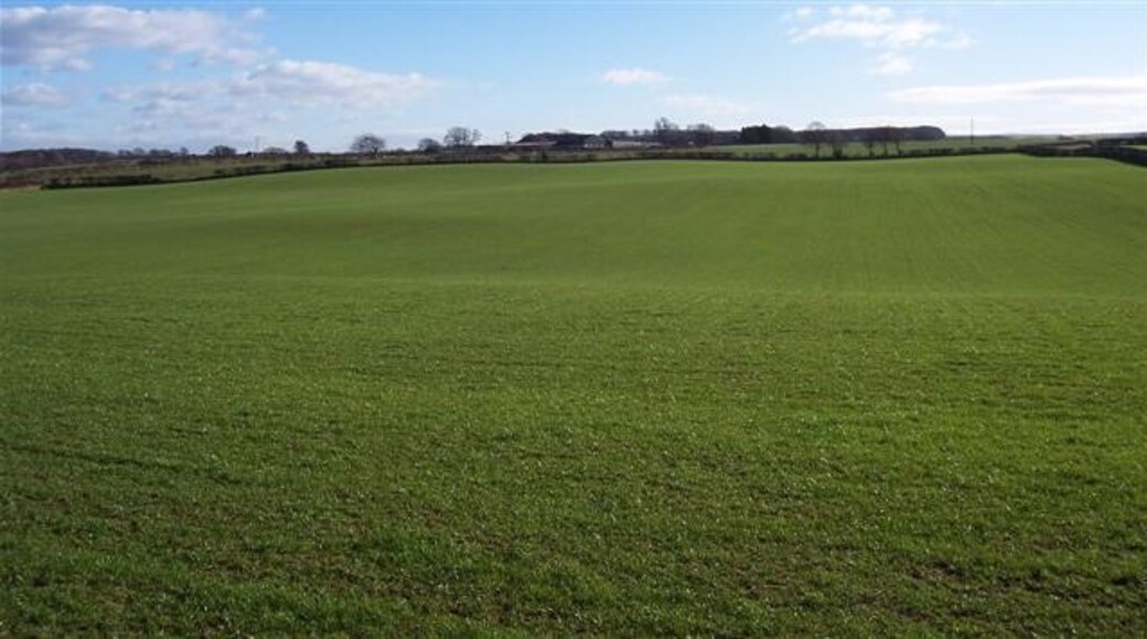 "Woodside"-foto av John Holmes (CC BY-SA) / Urklipp från original