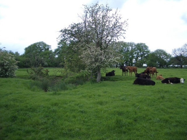 Foto “Little Gidding” tomada por Nigel Stickells (CC BY-SA); recorte de la original
