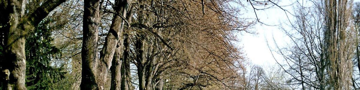 Photo "Nerchau, the Wiesental" by Dguendel (page does not exist) (Creative Commons Attribution 4.0) / Cropped from original