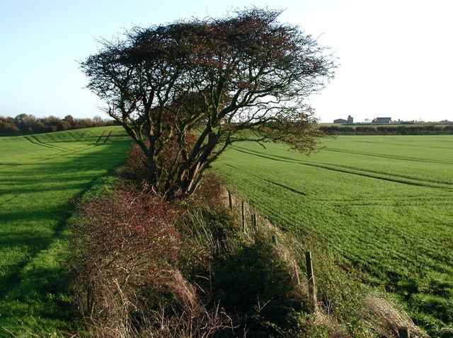 Ảnh "Rimswell" của Paul Glazzard (CC BY-SA) / Cắt từ ảnh gốc