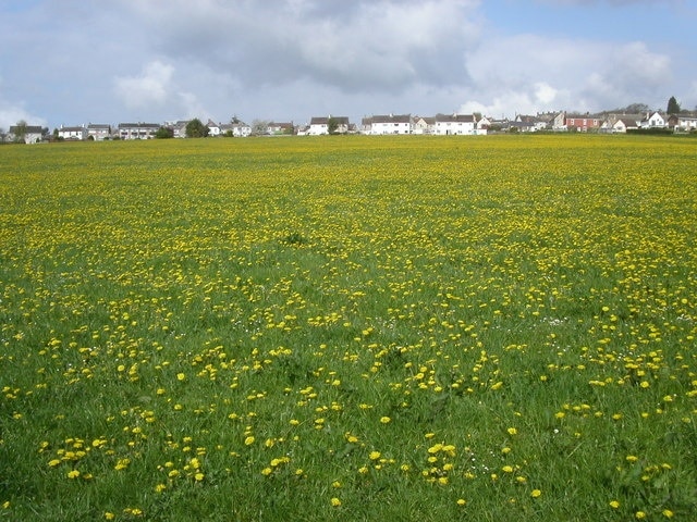 Foto „Whiteshill und Ruscombe“ von Vincent Jones (CC BY-SA)/zugeschnittenes Original