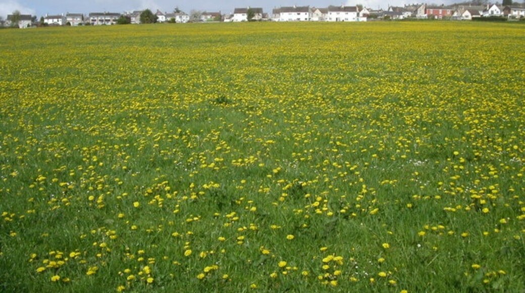 Foto „Whiteshill and Ruscombe“ von Vincent Jones (CC BY-SA)/zugeschnittenes Original