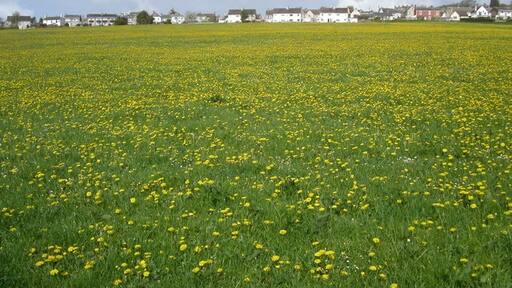 Foto „Whiteshill und Ruscombe“ von Vincent Jones (CC BY-SA)/zugeschnittenes Original