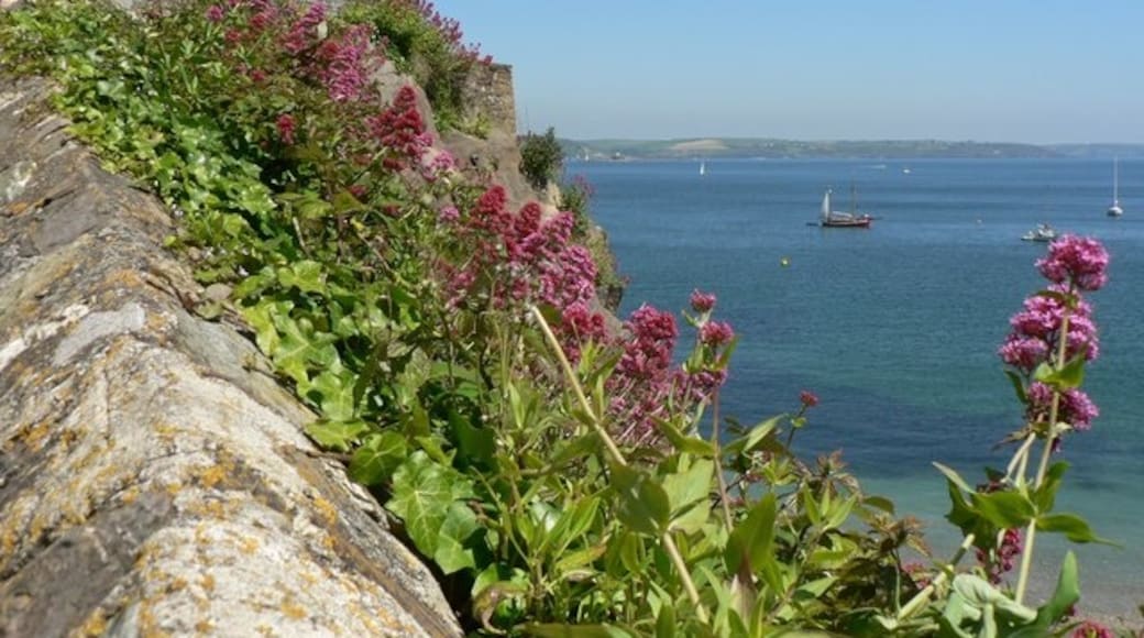 Photo "Cawsand" by Mick Lobb (CC BY-SA) / Cropped from original
