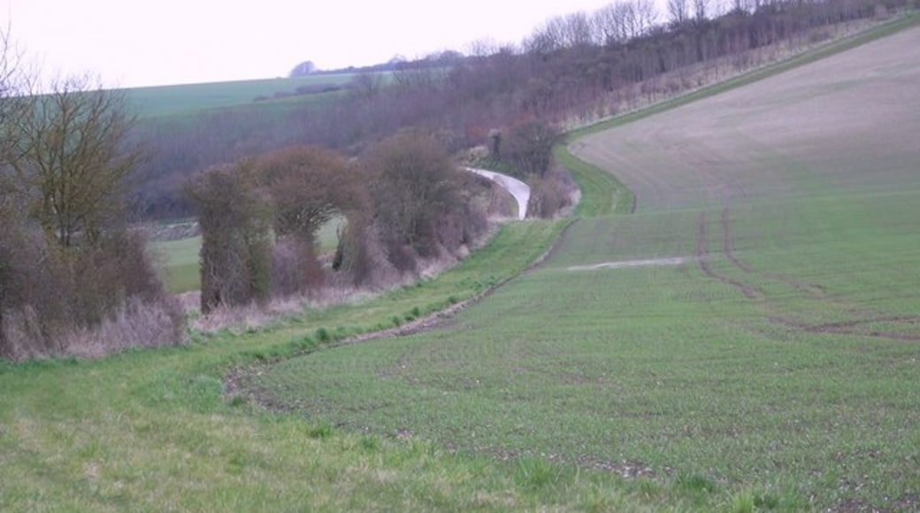Photo "Broad Chalke" by Trish Steel (CC BY-SA) / Cropped from original