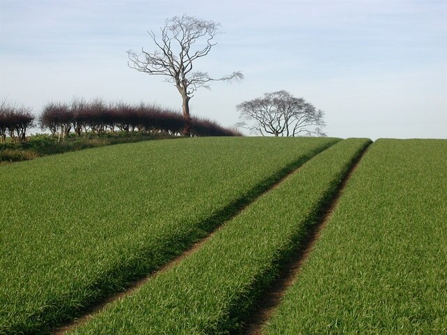 Photo "Elstronwick" by Paul Glazzard (CC BY-SA) / Cropped from original