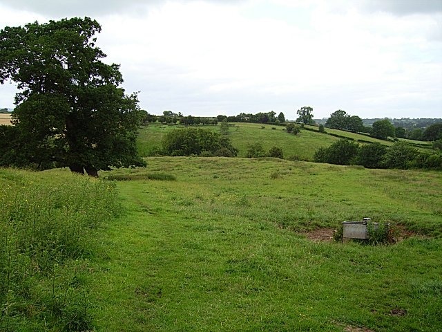 Edge of town. Field just outside Cleobury Mortimer. The path runs from the primary school, northwards.