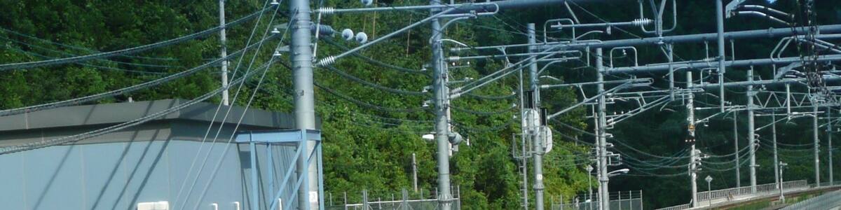 Photo "堀之内信号場。分岐器のある左側2線が成田線の堀之内信号場。右側1線は京成成田空港線。" by Nyao148 (Creative Commons Attribution 3.0) / Cropped from original