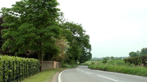 Kuva ”Moreton” käyttäjältä Robert Edwards (CC BY-SA) / rajattu alkuperäisestä kuvasta