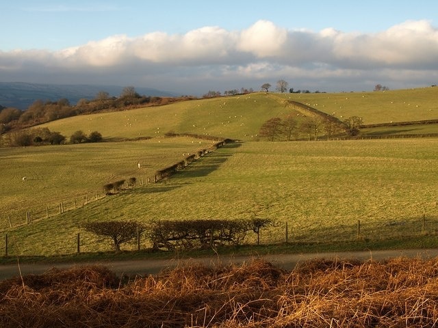 Foto "More" por Derek Harper (CC BY-SA) / Recortada de la original