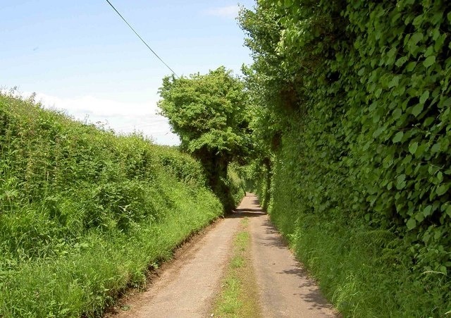 The Little used Brinkmarsh Lane