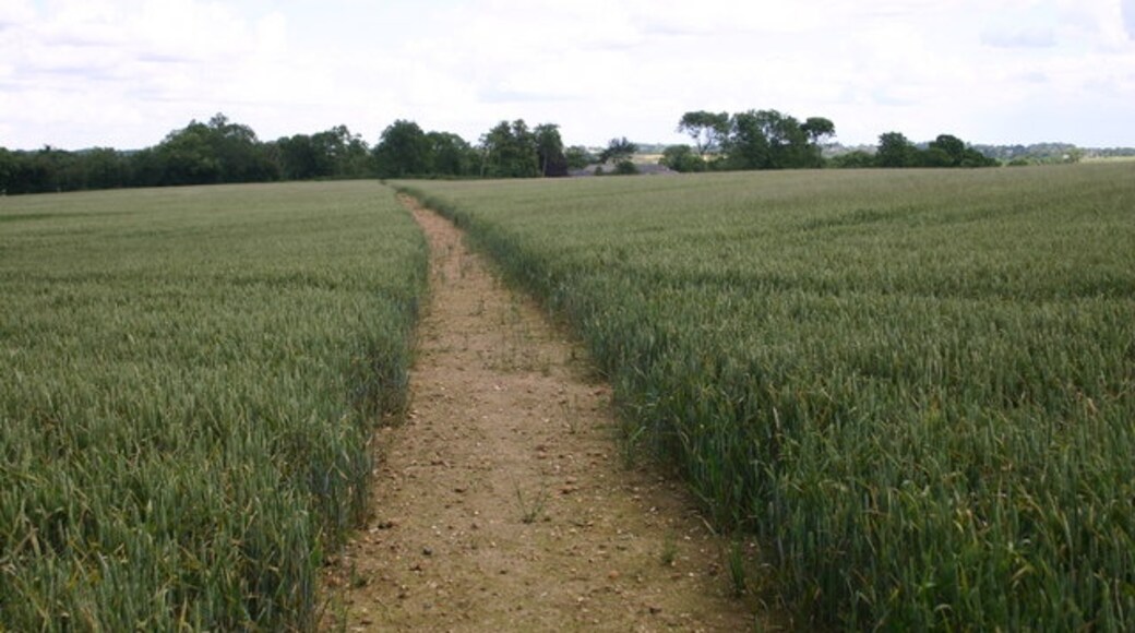 Photo "Tingewick" by Shaun Ferguson (CC BY-SA) / Cropped from original