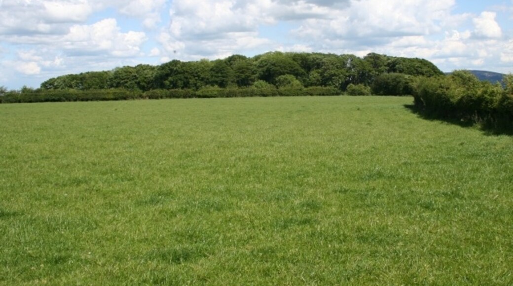 "Llancillo"-foto av Bob Embleton (CC BY-SA) / Urklipp från original