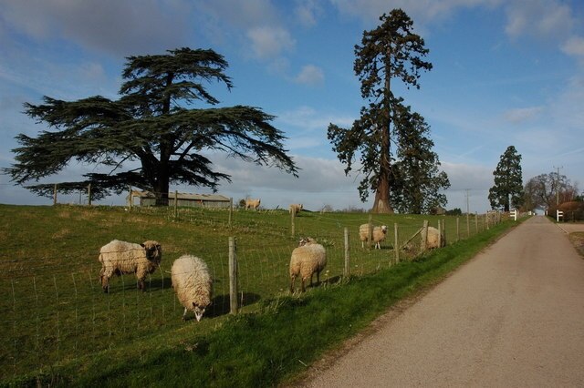 Photo "Queenhill" by Philip Halling (CC BY-SA) / Cropped from original