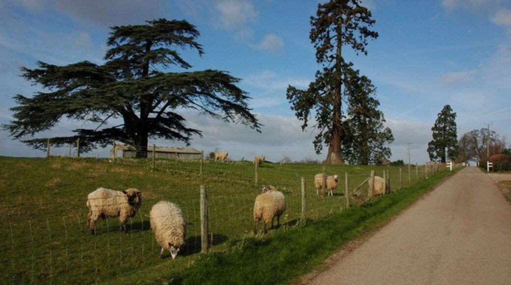 Photo "Queenhill" by Philip Halling (CC BY-SA) / Cropped from original