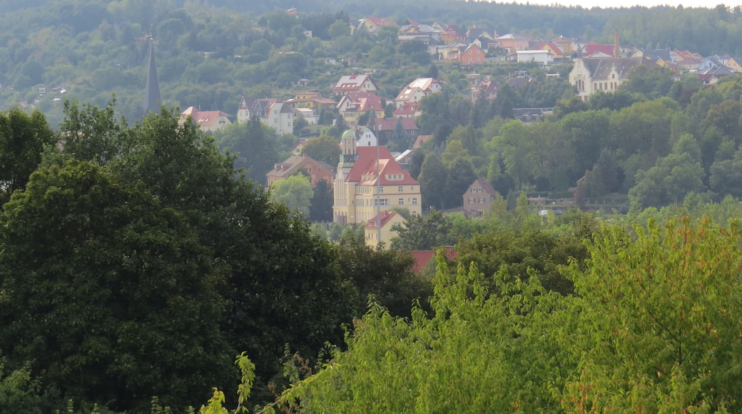 "Döhlen"-foto av Hgzh (page does not exist) (CC BY-SA) / Urklipp från original