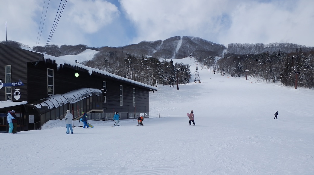 Photo "Hakuba Iwatake Ski Resort" by yuukokukirei (CC BY) / Cropped from original