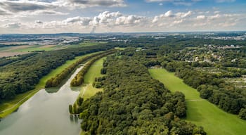 Der Stadtwald ist ein Erholungsgebiet in Köln. Durch den angelegten Park führt eine angesagte Laufstrecke.
