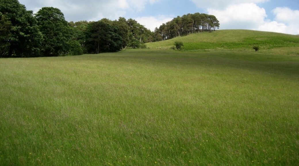 Foto “Hetton-cum-Bordley” tomada por Chris Heaton (CC BY-SA); recorte de la original