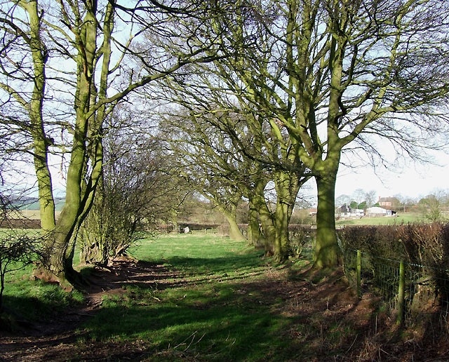 Photo "Abdon and Heath" by Roger Kidd (CC BY-SA) / Cropped from original