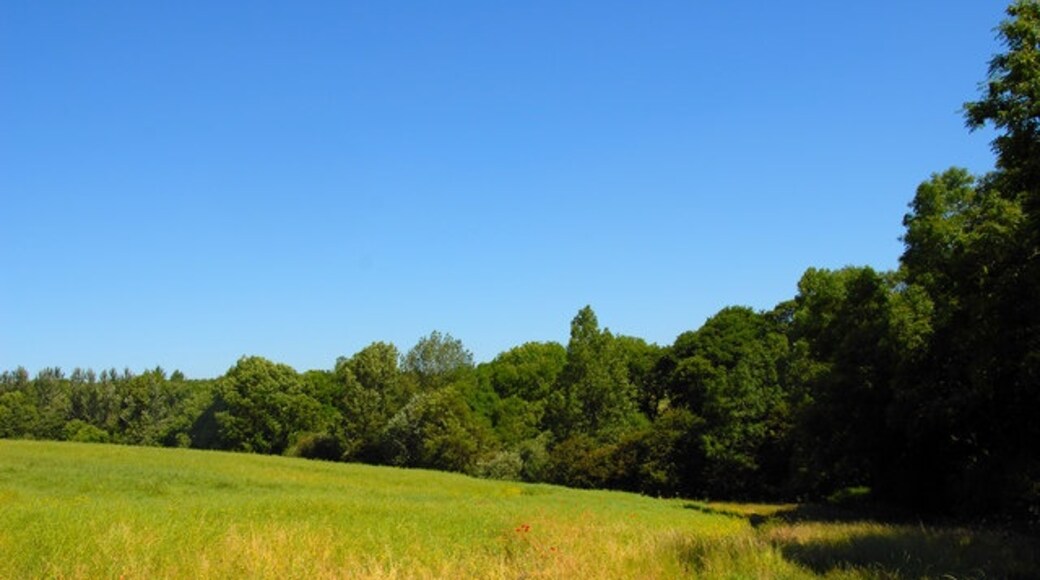 Photo "Elkington" by Jon Holland (CC BY-SA) / Cropped from original