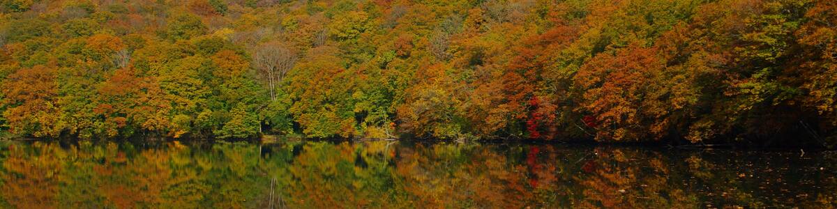 Photo "Tsuta Numa" by Koichi Shibata (Creative Commons Attribution-Share Alike 3.0) / Cropped from original